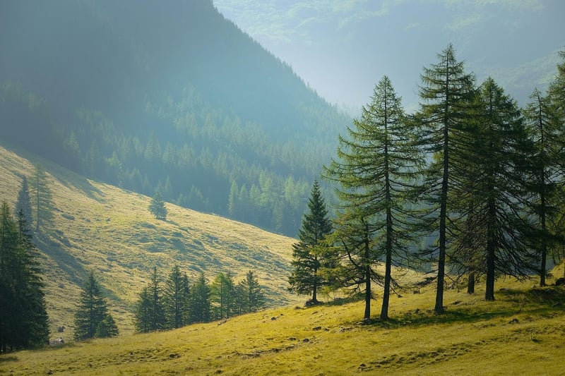 Get Inspired to Explore